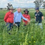 Hemp and Cotton – a highly inspiring field trip