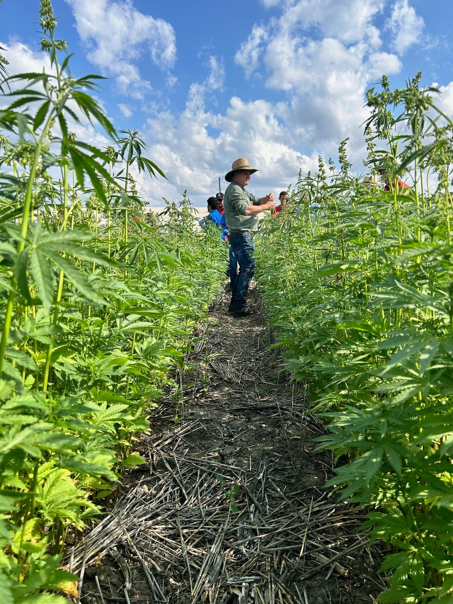 Industry Response to the Senate Inquiry
