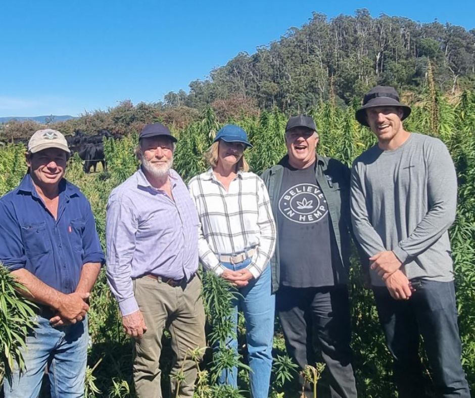 5 people standing in a crop of hemp.