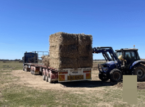 Ashford Hemp Industries expands and seeks local growers