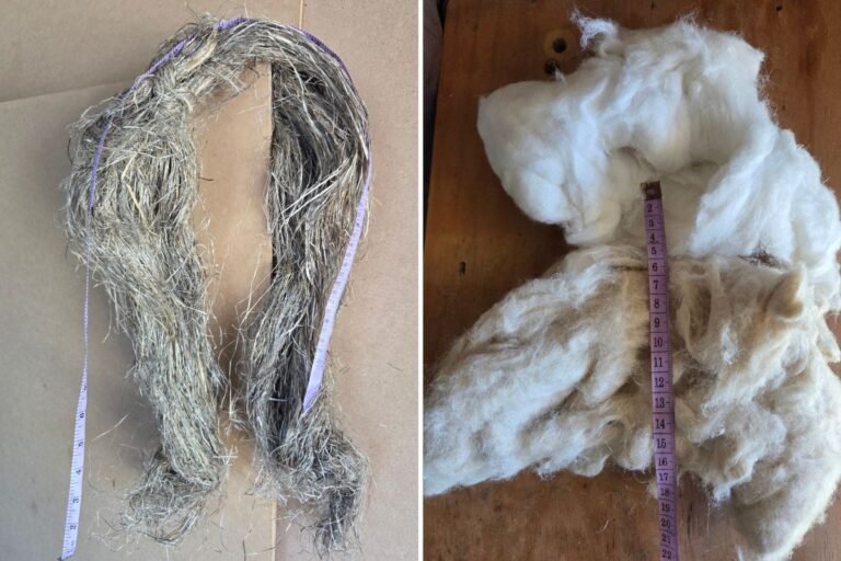 Hemp Fibre – China & Australia