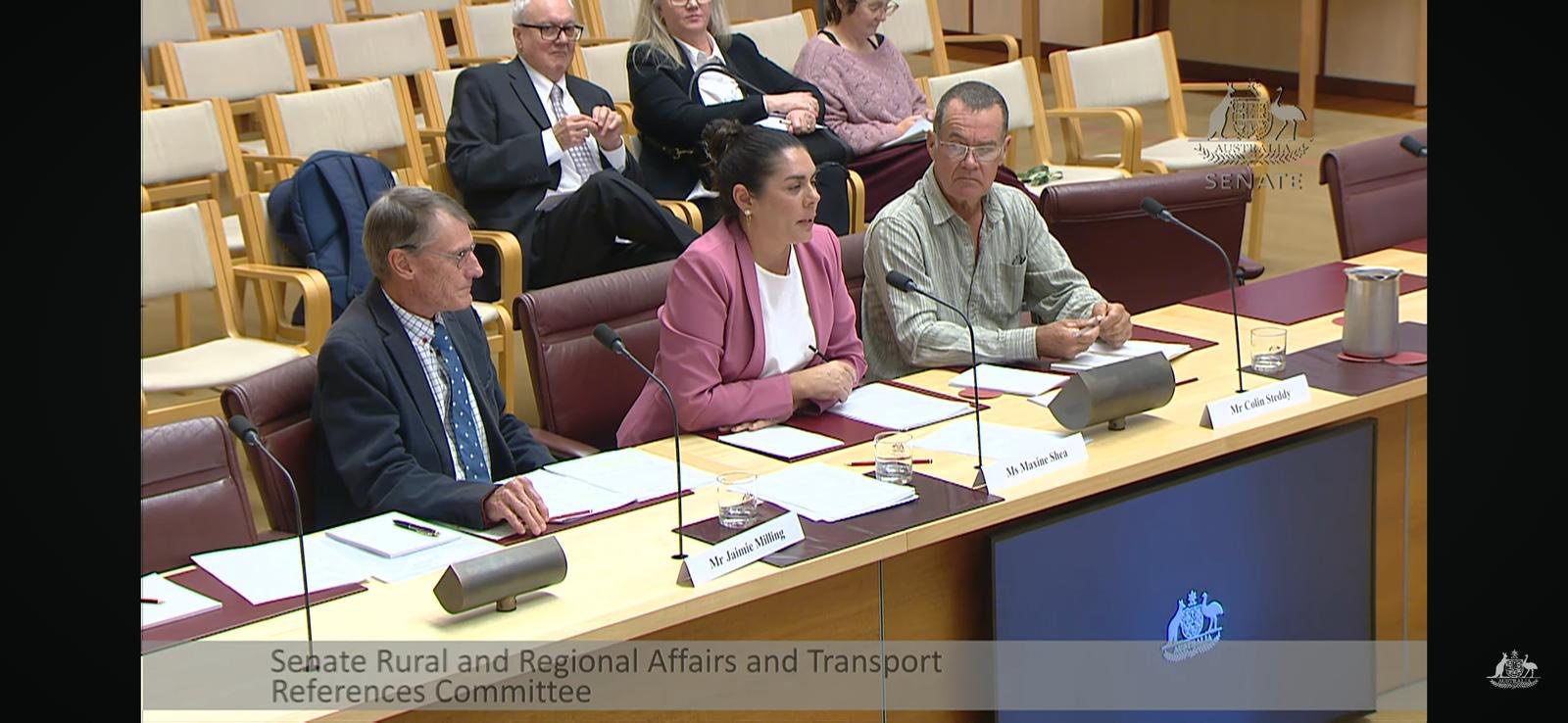 iHemp NSW Inc at Parliament House Senate Inquiry Canberra May 2026