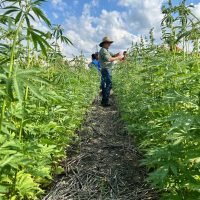 Industry Response to the Senate Inquiry