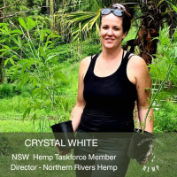 Hemp Taskforce Recommendations Overlooked in DPI Updates