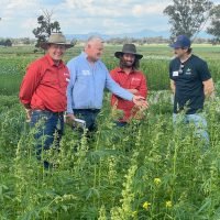 Hemp and Cotton – a highly inspiring field trip