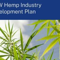 NSW Government Releases Hemp Industry Development Plan
