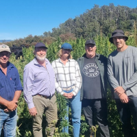 Checking out the crop. L-
R: Tim Schmidt, Phil & Kiley Warner, Arthur Wajs and Tim Crow.